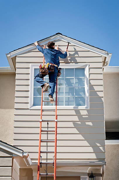 Best Historical Building Siding Restoration  in Paris, TN